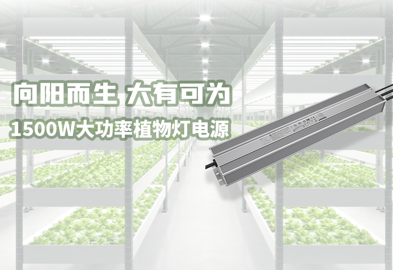 新品资讯 ▏1500W大功率植物灯电源宣布